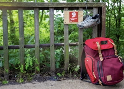 Das Bild zeigt einen Wanderrucksack im Grünen.